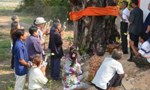 แห่ขอหวย ‘ขี้เหล็กพันปี’ มีหน้าพระโผล่กลางลำต้น