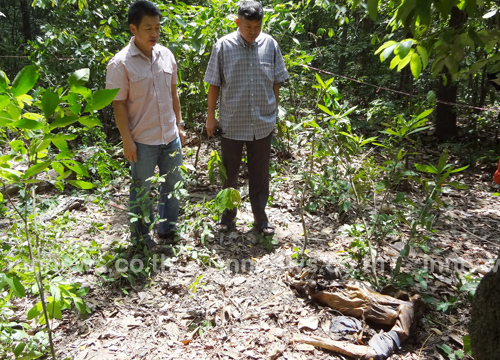 พบศพชายนิรนามถูกสุนัขรุมกัดที่สุรินทร์