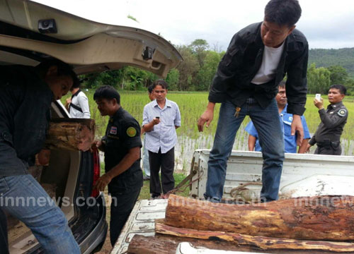 ยึดรถขนไม้พะยูงกลางป่าภูพาน