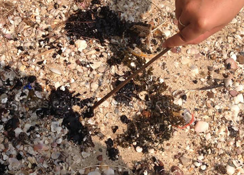 คราบน้ำมันลอยเกยทั่วหาดสัตหีบเริ่มเบาบาง