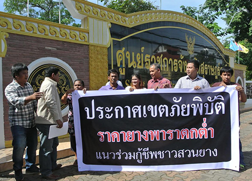 ล่าชื่อชาวยางสุราษฎร์ฯเสนอแก้ราคาตกต่ำ