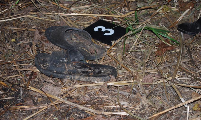 หมารุมแทะชิ้นส่วนมนุษย์ ญาติช็อกหาย 3 เดือน ไม่คิดว่าตาย