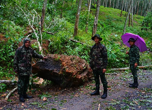 พัทลุงฝนตกต่อเนื่องหินหนักหลายตันร่วงทับถนน