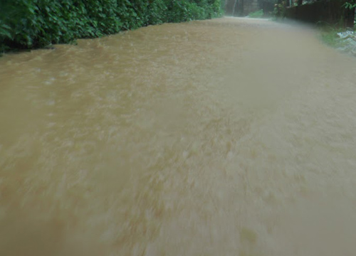 ฝนถล่มนราฯทำน้ำป่าไหลหลากท่วม3อ.สูงกว่า50ซม.