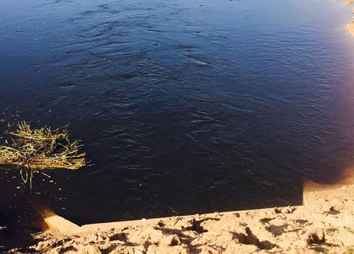 ปราจีนบุรีน้ำเน่าเสียในพื้นที่นาข้าว-แหล่งน้ำ