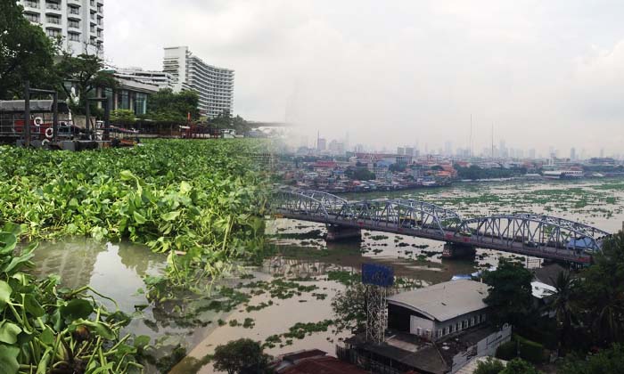 ชาวเน็ตโพสต์ \