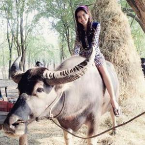 M470o93H7pQ09L8X1t49cHY01Z5j4TT91fGfr