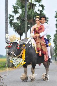 M10o93H7pQ09L8X1t49cHY01Z5j4TT91fGfr