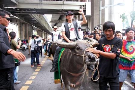 M550o93H7pQ09L8X1t49cHY01Z5j4TT91fGfr