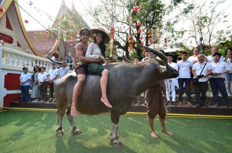 M350o93H7pQ09L8X1t49cHY01Z5j4TT91fGfr