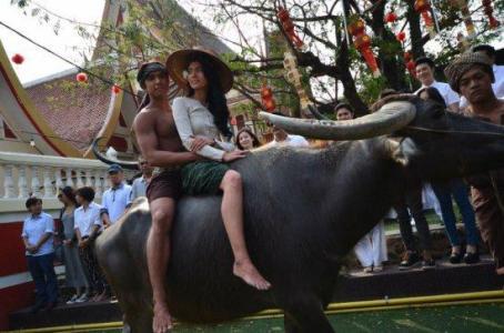 M350o93H7pQ09L8X1t49cHY01Z5j4TT91fGfr