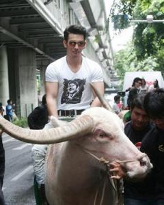 M40o93H7pQ09L8X1t49cHY01Z5j4TT91fGfr