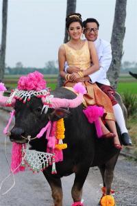 M70o93H7pQ09L8X1t49cHY01Z5j4TT91fGfr