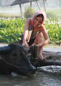 M100o93H7pQ09L8X1t49cHY01Z5j4TT91fGfr