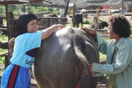 M320o93H7pQ09L8X1t49cHY01Z5j4TT91fGfr