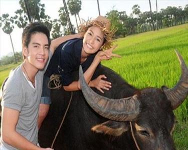 M160o93H7pQ09L8X1t49cHY01Z5j4TT91fGfr