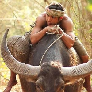 M190o93H7pQ09L8X1t49cHY01Z5j4TT91fGfr