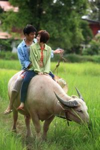 M610o93H7pQ09L8X1t49cHY01Z5j4TT91fGfr