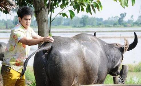 M640o93H7pQ09L8X1t49cHY01Z5j4TT91fGfr