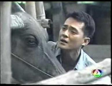 M670o93H7pQ09L8X1t49cHY01Z5j4TT91fGfr