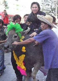 M700o93H7pQ09L8X1t49cHY01Z5j4TT91fGfr