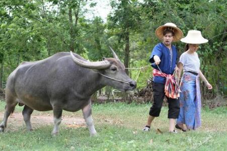 M730o93H7pQ09L8X1t49cHY01Z5j4TT91fGfr