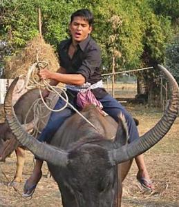 M790o93H7pQ09L8X1t49cHY01Z5j4TT91fGfr