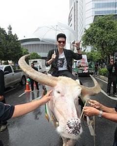 M820o93H7pQ09L8X1t49cHY01Z5j4TT91fGfr