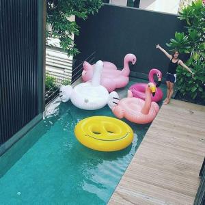 M220o93H7pQ09L8X1t49cHY01Z5j4TT91fGfr