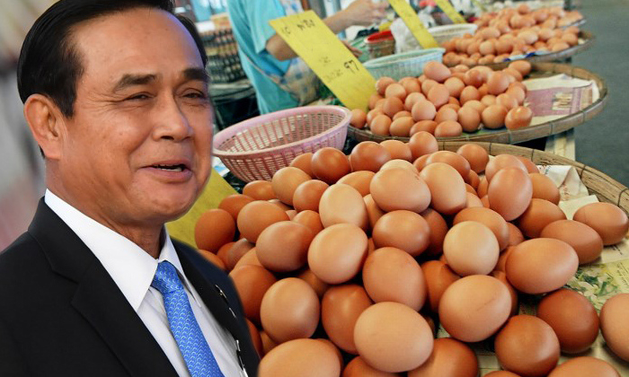 แม่ค้าโอด ไข่ยุคลุงตู่ ราคาตก วอนรัฐบาลเร่งช่วยเหลือ