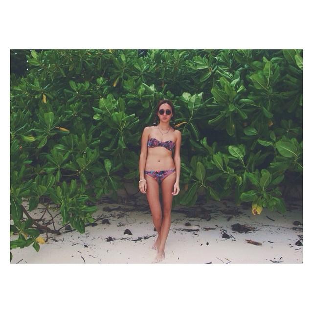 คลิกชมภาพต่อไป คลิกชมภาพต่อไป