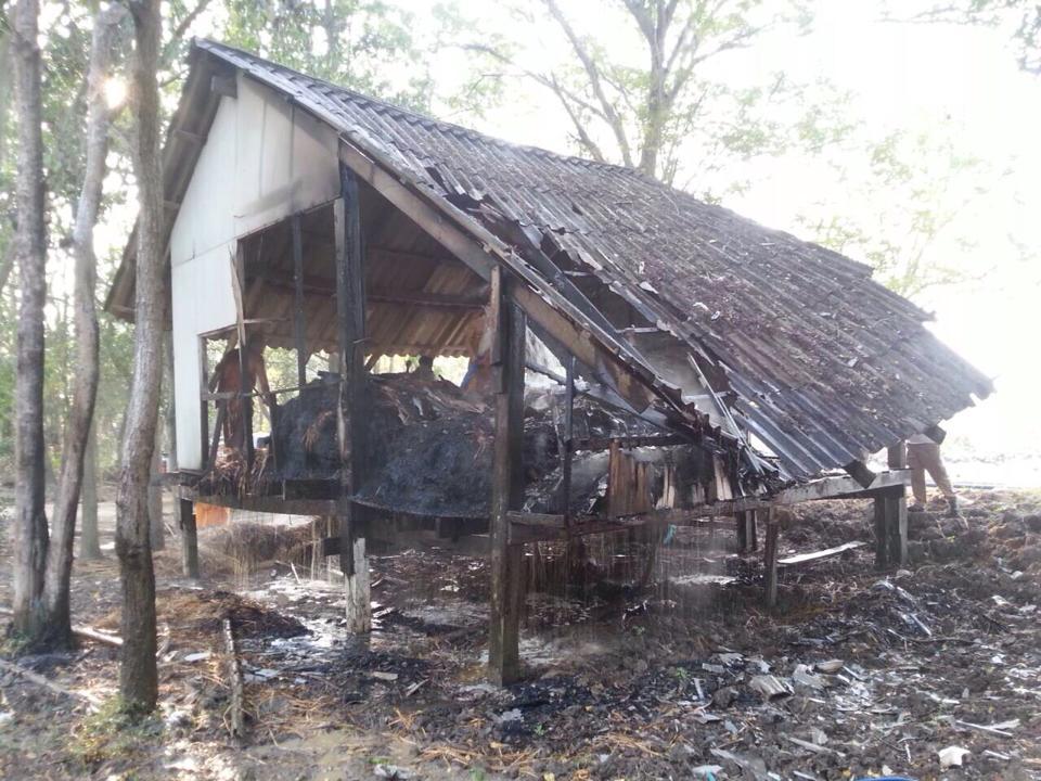 คลิกชมภาพต่อไป คลิกชมภาพต่อไป