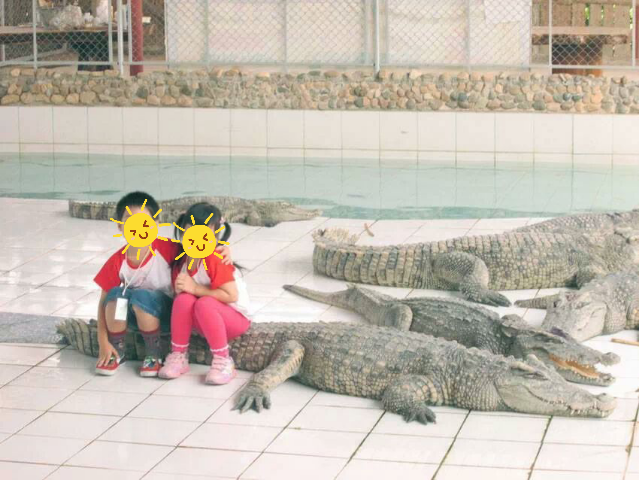 คลิกชมภาพต่อไป คลิกชมภาพต่อไป