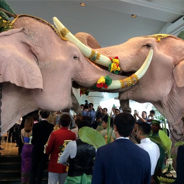 คลิกชมภาพต่อไป