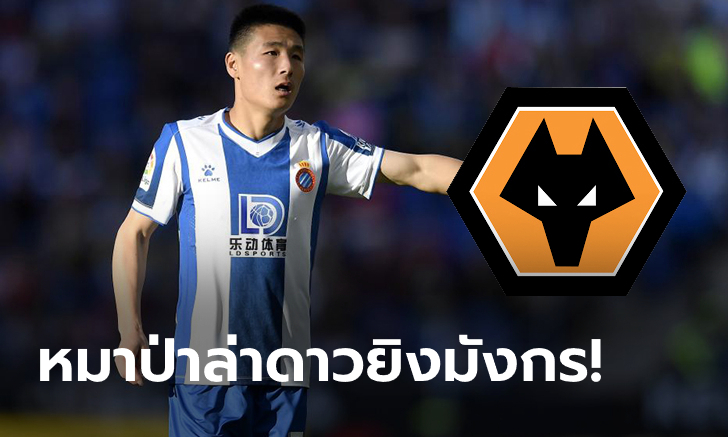 ฮือฮา! วูล์ฟส์ เดินหน้าทาบ \