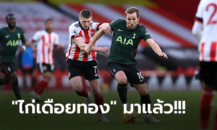 สามแต้มสำคัญ! สเปอร์ส บุกรัวยิง เชฟฯ ยูไนเต็ด 3-1 ขยับรั้งอันดับ 4