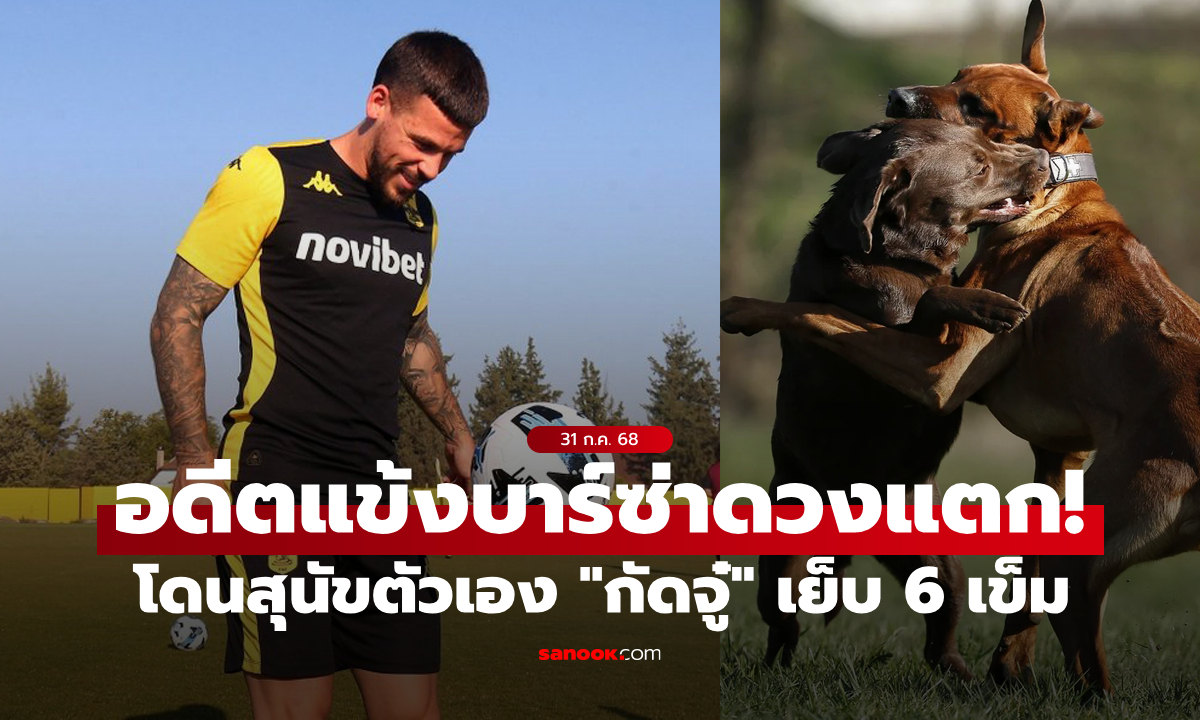 เย็บ 6 เข็ม! \
